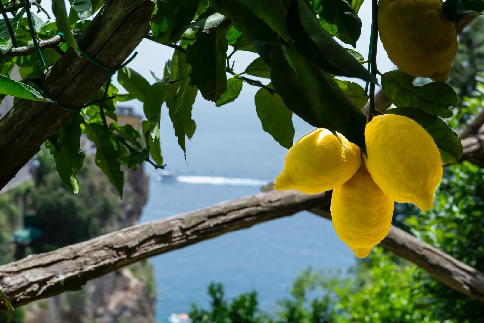 Amalfi Coast coastline with lemon groves and cliffside villages