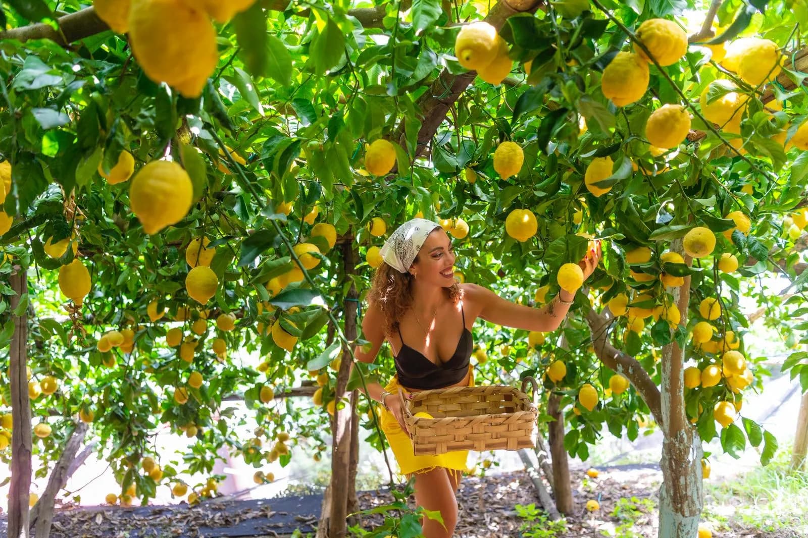 Photo moment with Amalfi lemons in the private organic grove