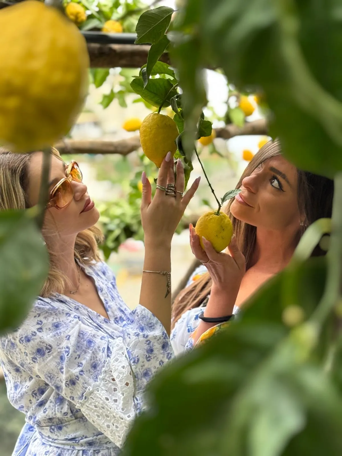 Two guests toasting with limoncello at the lemon grove aperitivo stop